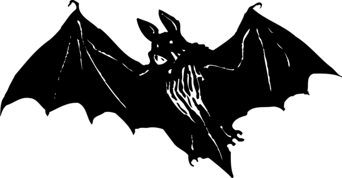 bat-2027826_960_720