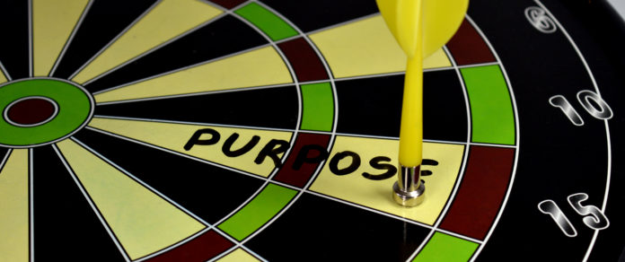 Purpose Purpose