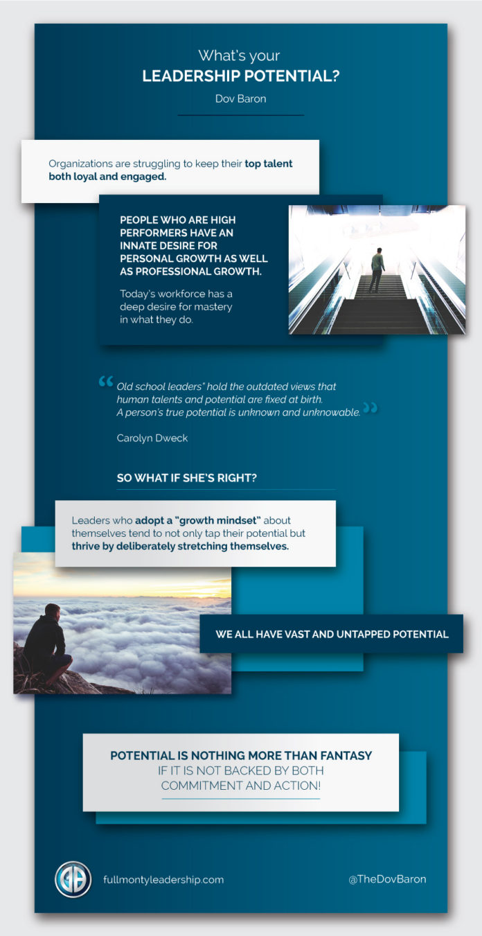 DovBaron_LeadershipPotential Leadership Infographic