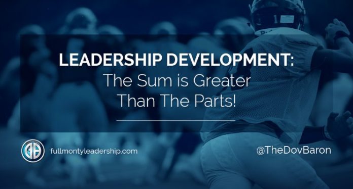 DovBaron_LeadershipDevelopmentSumGreater