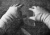 hands wrapped for business fights