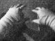 hands wrapped for business fights