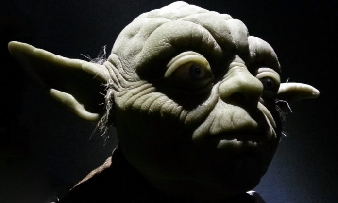yoda-1726764_1280 pixabayEsaRiutta Raymond