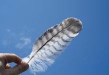 10 Practices for Leading Lightly (Manages Stress)