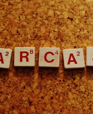 sarcasm, communication