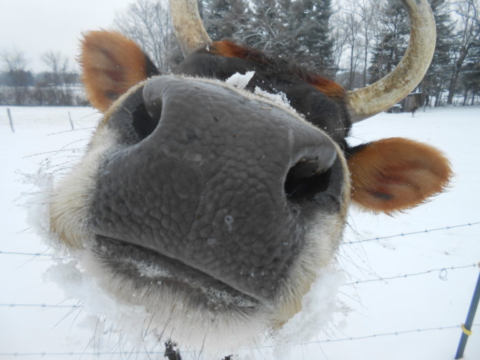 Fred coming in for a closeup