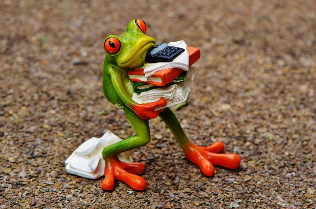 frog-figure-files
