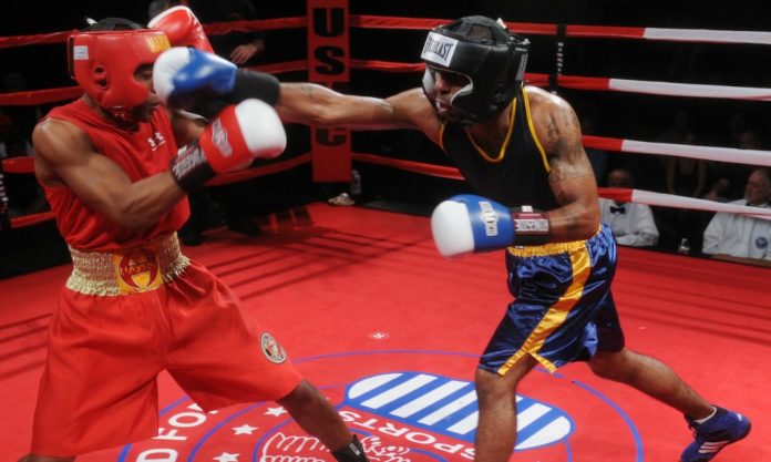 boxers-652385_1280