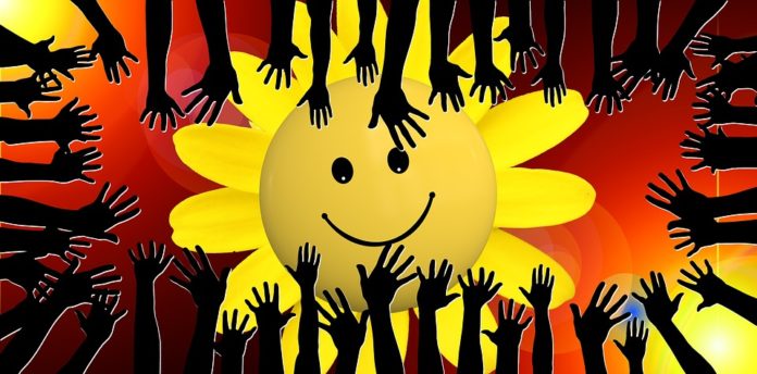 sunny_network