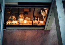 How To Make The Most Of Remote Work At A Coffee Shop