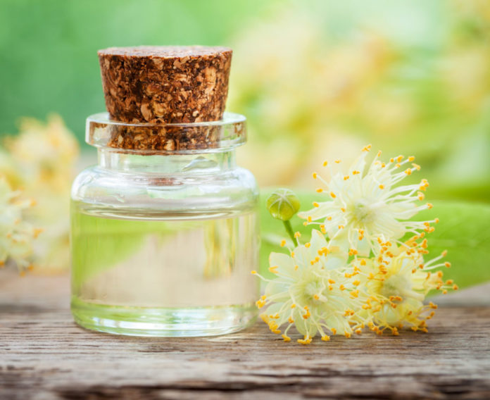 Bottle of essential linden oil and yellow lime flowers.