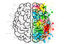 PODCAST #176: Get Back To Basics And Sweep Away Your Brain Junk | Susan Baroncini-Moe