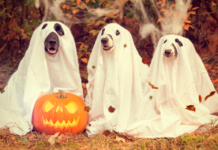 PODCAST #175: Kevin Tells His Best (worst) Halloween Jokes