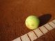 tennis ball on the line