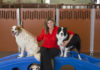 Christina Russell President of Camp Bow Wow