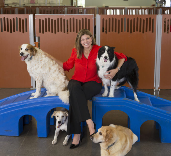 Russell_Christina Christina Russell President of Camp Bow Wow