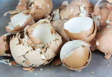Extinguish Exhaustion From Eggshells (Managerial Courage)