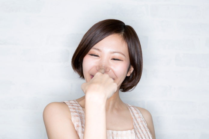 Photo: Adobe Stock/ kei907