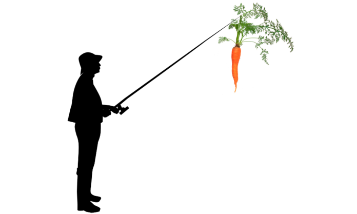 carrot-3179988_1280