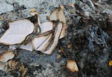 Entrepreneurs: It’s Time To Burn Your Business Plan