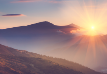 Free To Focus Michael Hyatt
