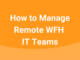 manage-remote-it-teams-wfh.png