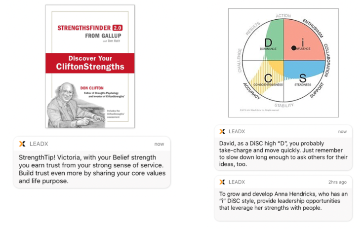 leadership-assessment-strengths-nudges