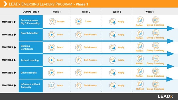 emerging leaders