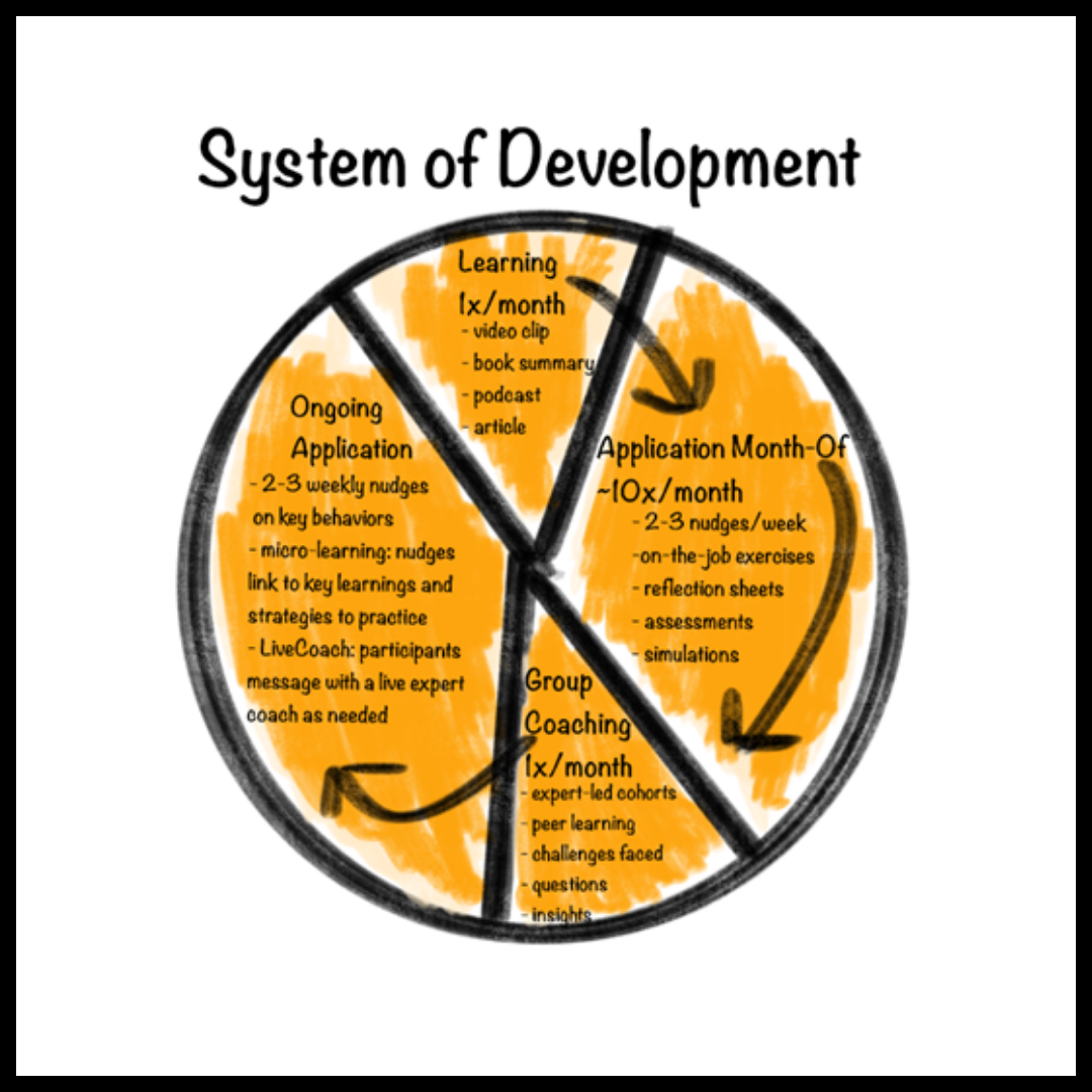 System of Development