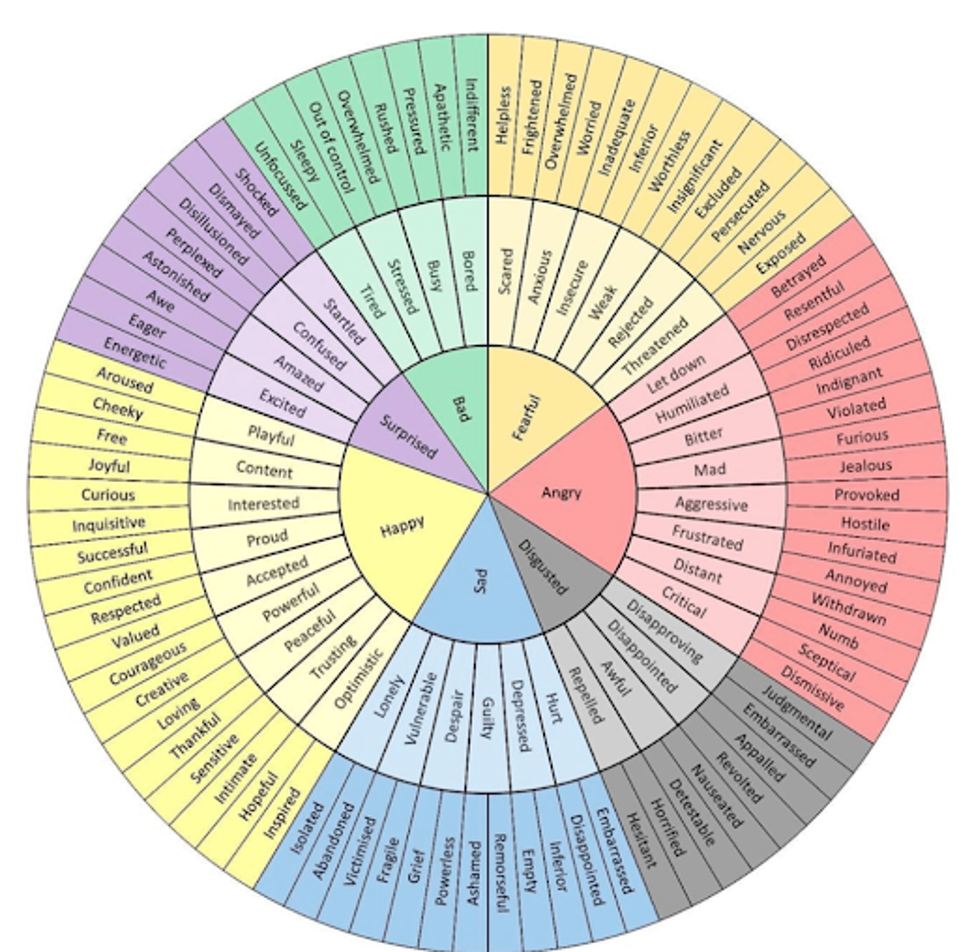 Feelings Wheel