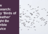 New Research: Why ‘Birds Of A Feather’ Is Terrible Advice
