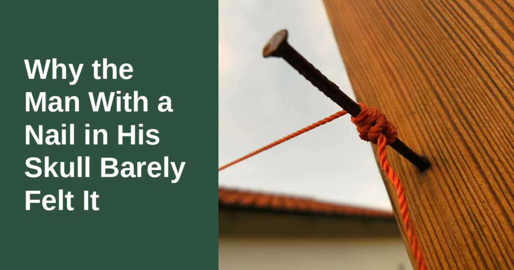 Why The Man With A Nail In His Skull Barely Felt It