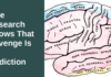 New Yale Research Shows That Revenge Is An Addiction