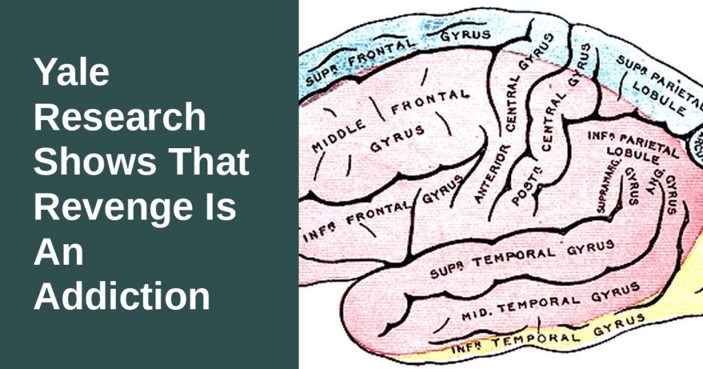 New Yale Research Shows That Revenge Is An Addiction