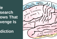 New Yale Research Shows That Revenge Is An Addiction