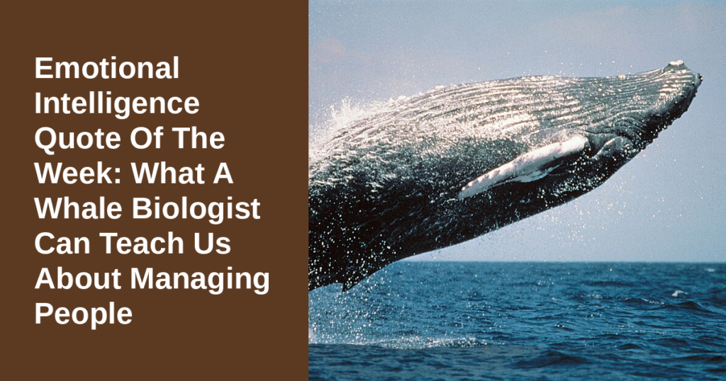 Emotional Intelligence Quote Of The Week: What A Whale Biologist Can Teach Us About Managing People